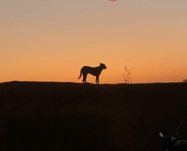 Фото 1 Фото 1