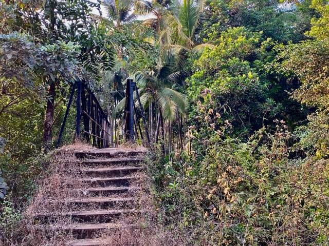 Фото 15 Фото 15