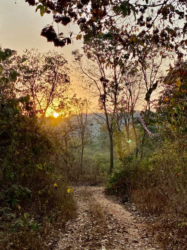 Фото 16 Фото 16