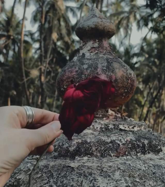 Фото 2 Фото 2