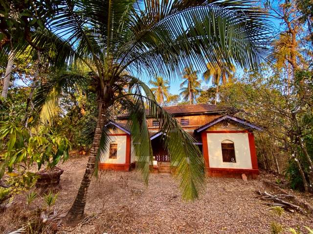 Фото 4 Фото 4