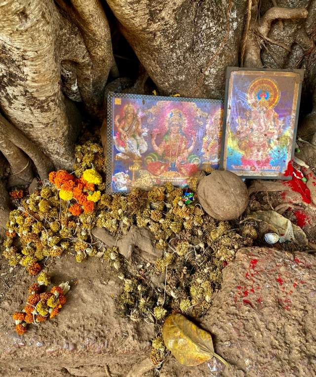 Фото 3 Фото 3