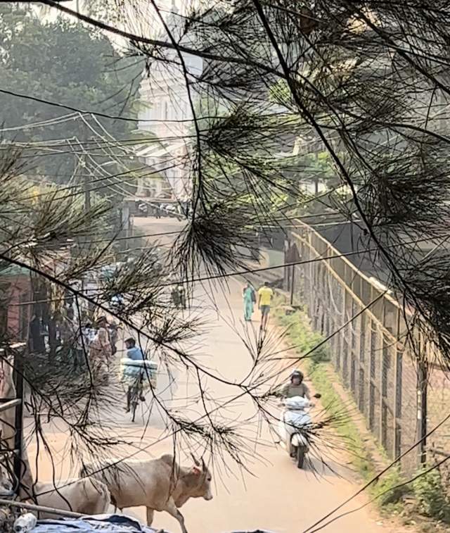 3.          .      .