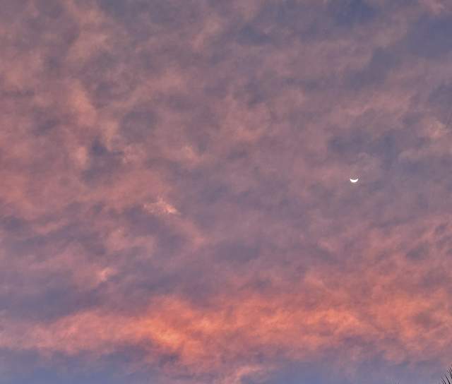 Фото 2 Фото 2