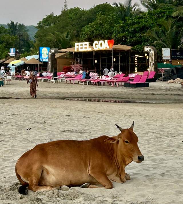 Фото 3 Фото 3