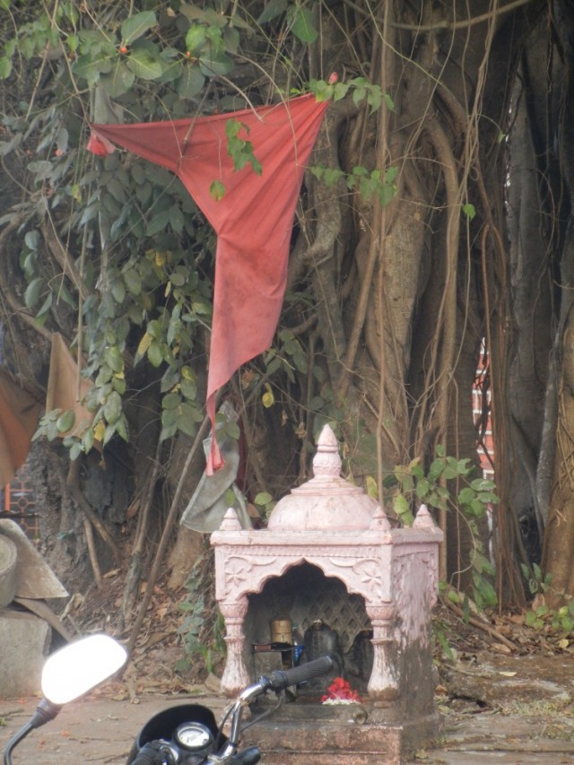 ", , ,     ,   -  , "