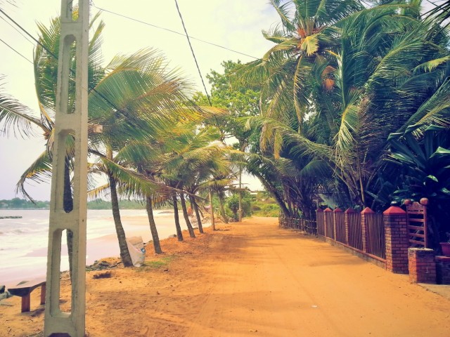 Пляж Рекава, Тангале (Rekawa beach, Tangalle)