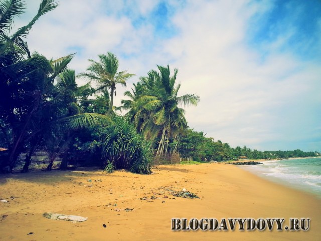 Пляж Тангалле у порта (Tangalle beach)