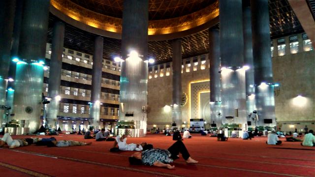 Батавия Live 245 Батавия Live 245