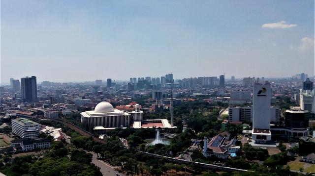 Батавия Live 247 Батавия Live 247