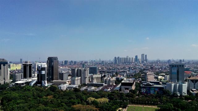 Батавия Live 249 Батавия Live 249