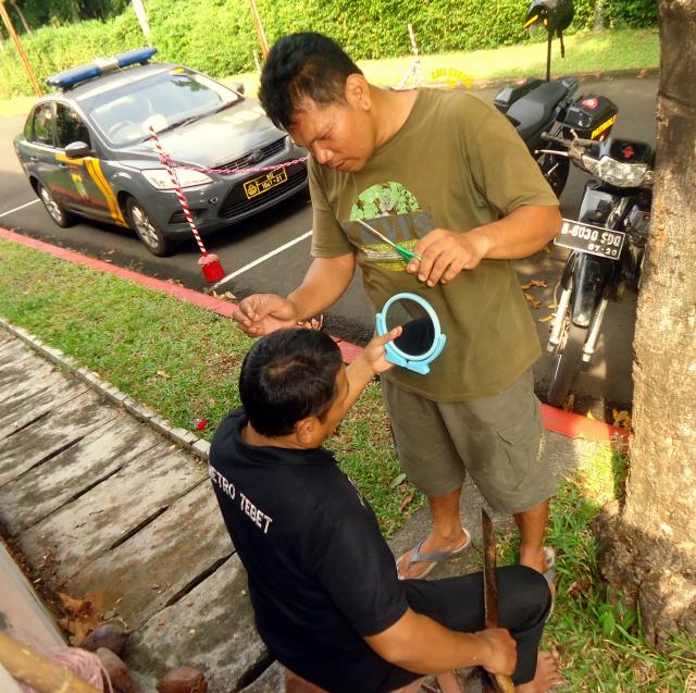 Батавия Live 256 Батавия Live 256