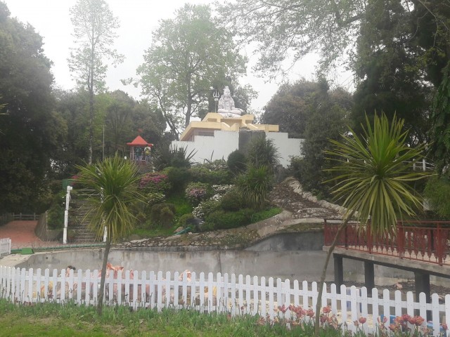 Shrubbery Nightingale Park