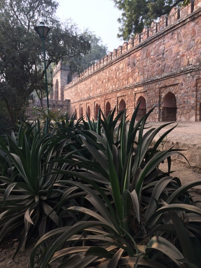 Lodi Gardens