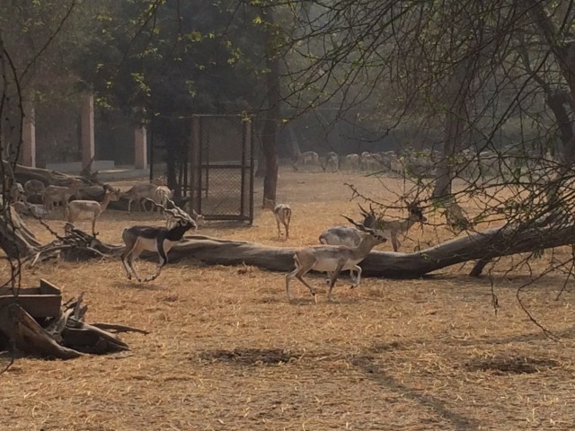 National zoological park