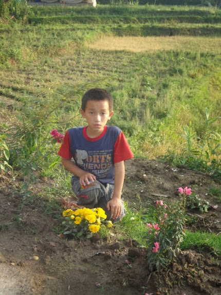 на огороде на огороде