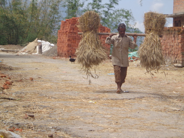 Фото 4 Фото 4