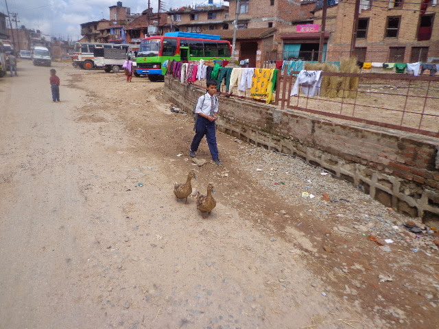 Фото 5 Фото 5