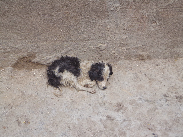 Фото 6 Фото 6