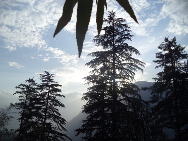 Фото 10 Фото 10