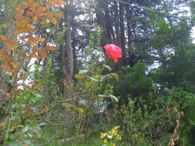 Фото 6 Фото 6