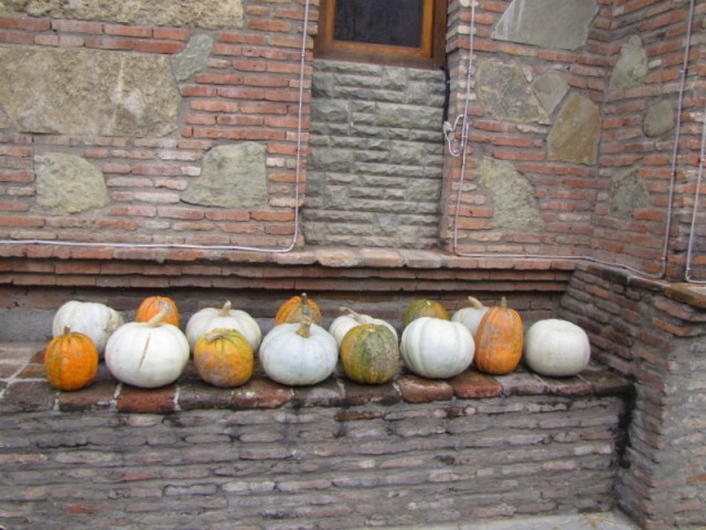 Фото 7 Фото 7