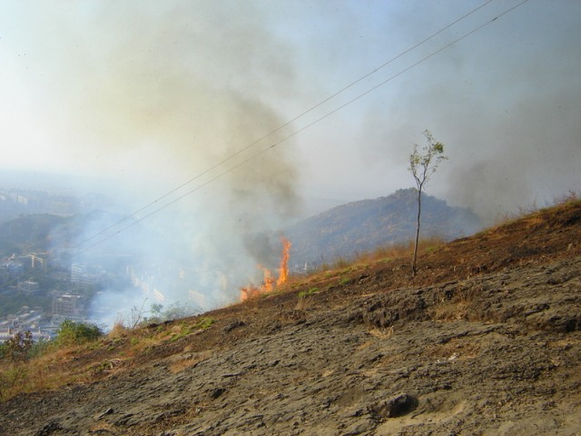 Страшно и ветер Страшно и ветер