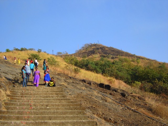 Фото 11 Фото 11