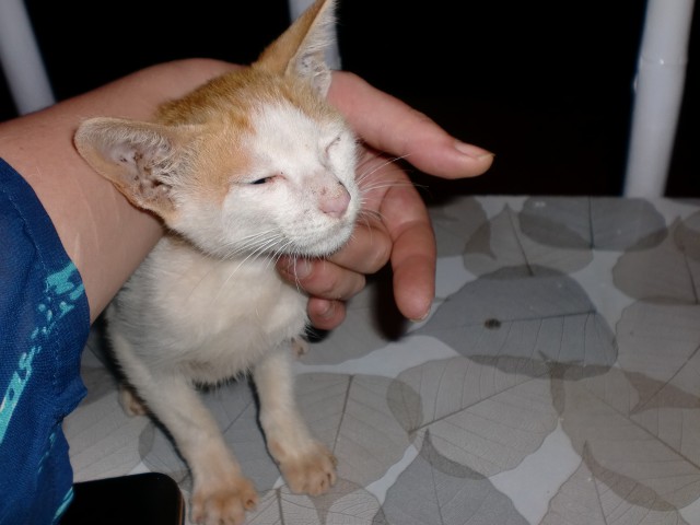 Фото 1 Фото 1