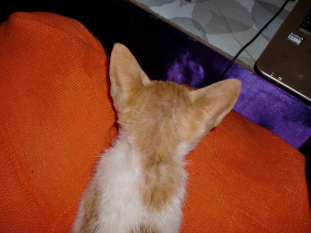 Фото 1 Фото 1