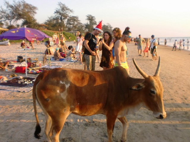 Фото 3 Фото 3