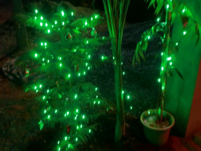 Фото 2 Фото 2