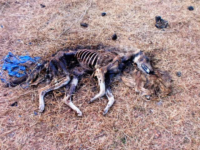 Фото 1 Фото 1