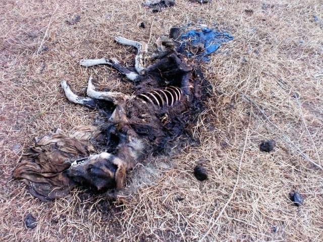 Фото 2 Фото 2