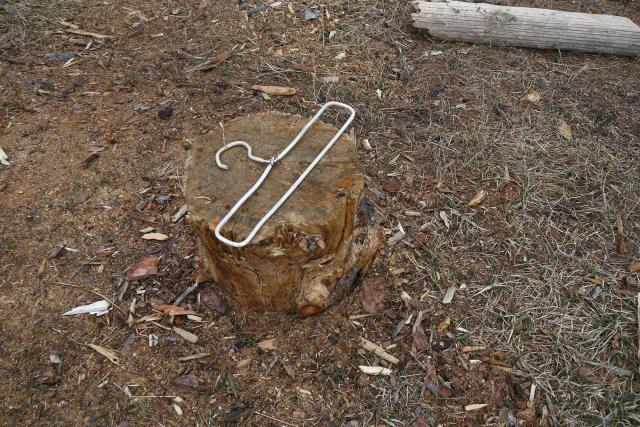 "         ,       ,     ."