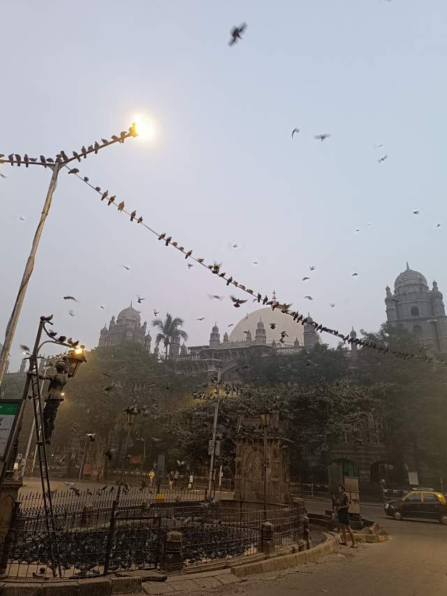 Фото 3 Фото 3