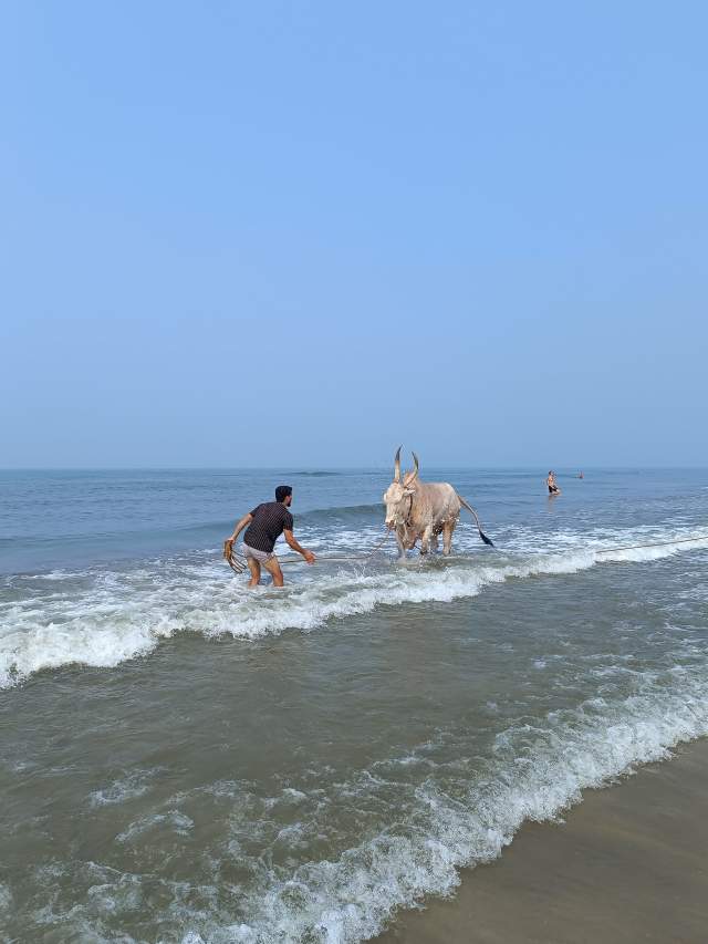 ������� ����