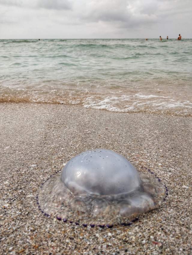 Вот такая шляпа.. Вот такая шляпа..