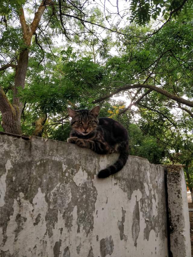 Фото 4 Фото 4