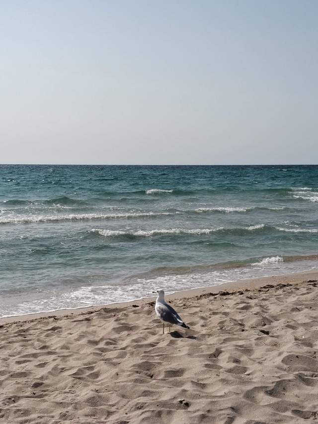 Фото 1 Фото 1