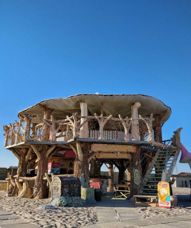 Фото 6 Фото 6