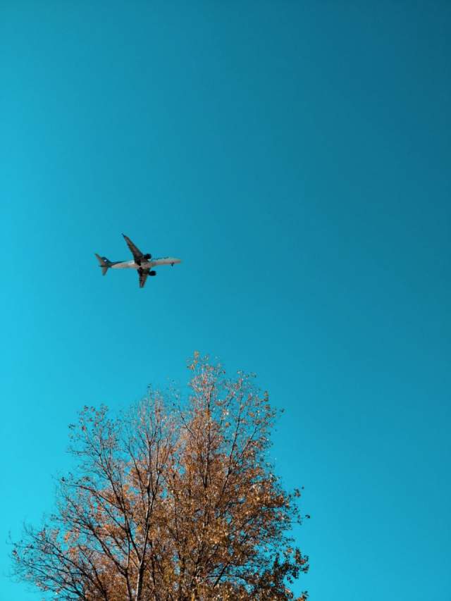 Фото 2 Фото 2