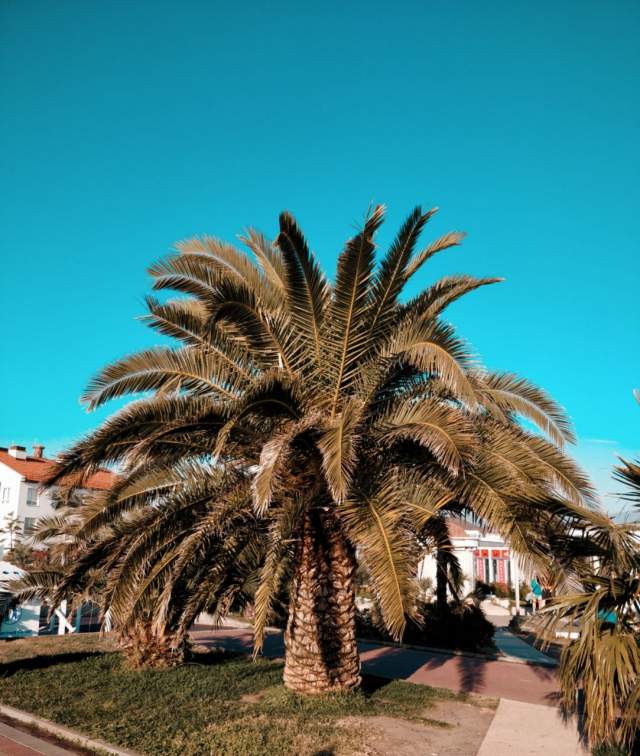 Фото 4 Фото 4