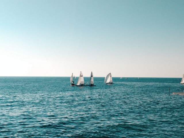 Фото 5 Фото 5