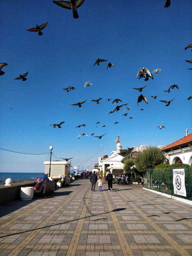 Фото 1 Фото 1