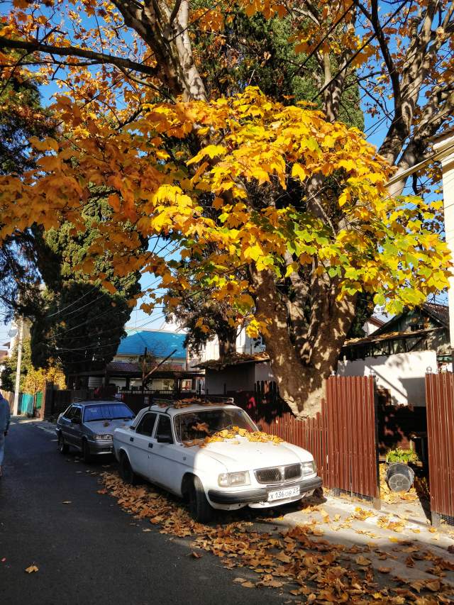 Фото 2 Фото 2