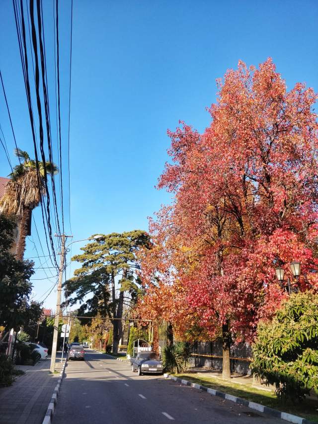 Фото 3 Фото 3