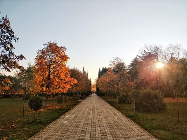 Фото 5 Фото 5