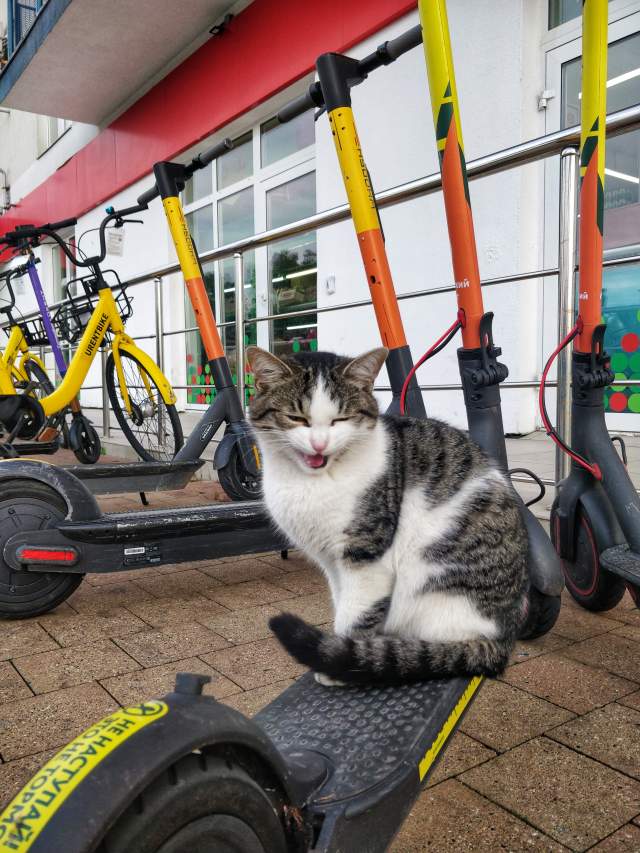 Фото 1 Фото 1