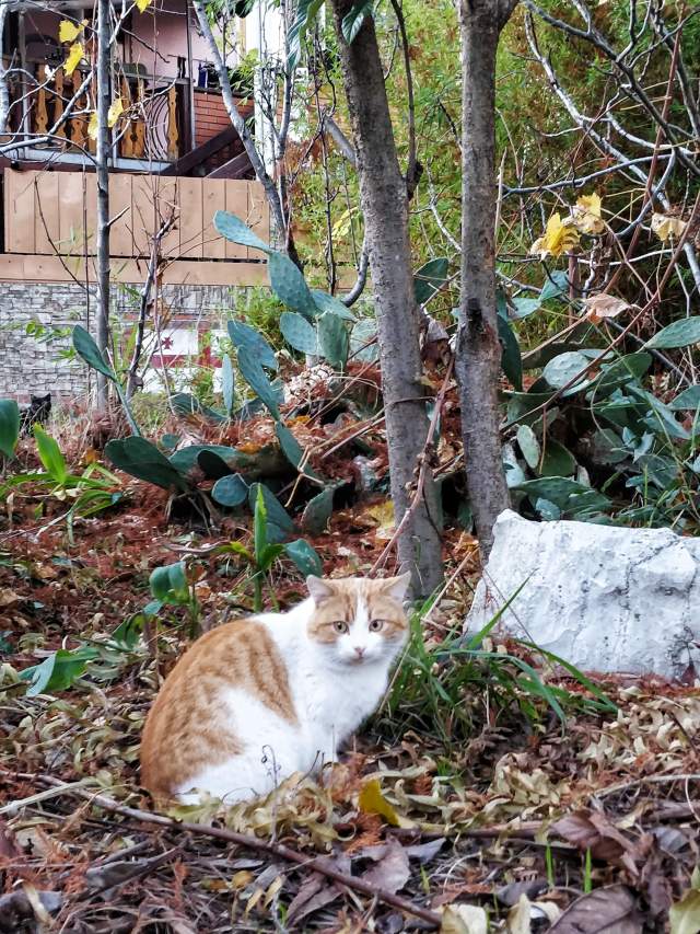 Фото 2 Фото 2